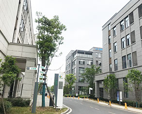 A corner of the park