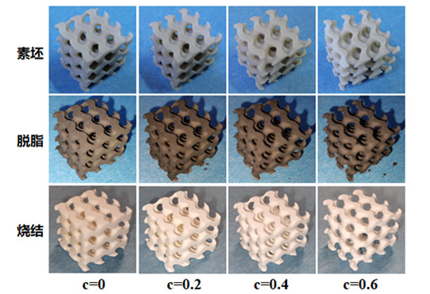 Professor Huake Wu's project uses 3D printing technology of light-cured ceramics to realize 3D molding of albite
