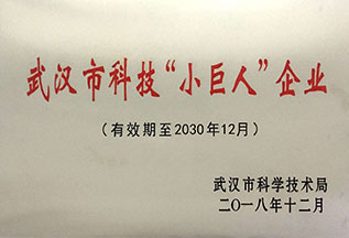 Wuhan Science and Technology "Little Giant" Enterprise