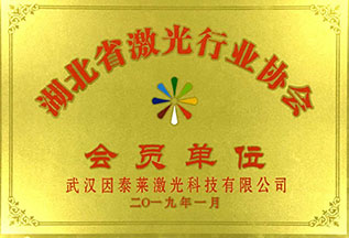 Member of Hubei Laser Industry Association