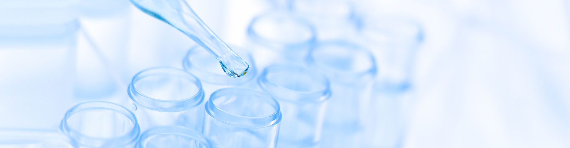 Research and education