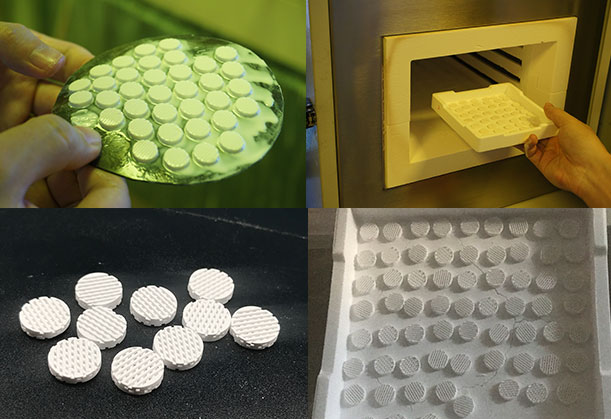 Bone metastasis research reagent orthopedic biological scaffold